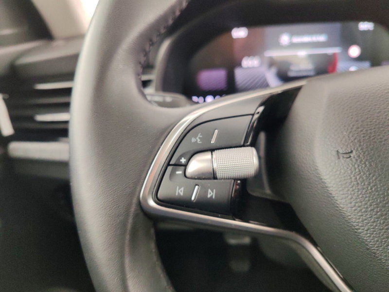 Skoda Kamiq usata a Massa-Carrara (14)