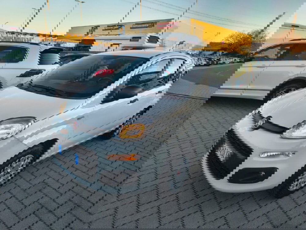 Fiat Panda usata a Firenze