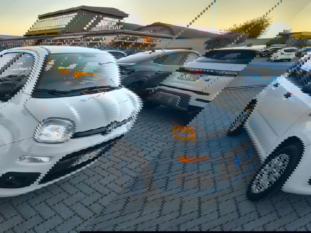 Fiat Panda usata a Firenze (3)