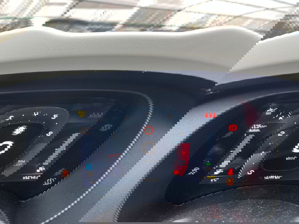 Fiat Panda Cross usata a Milano (20)