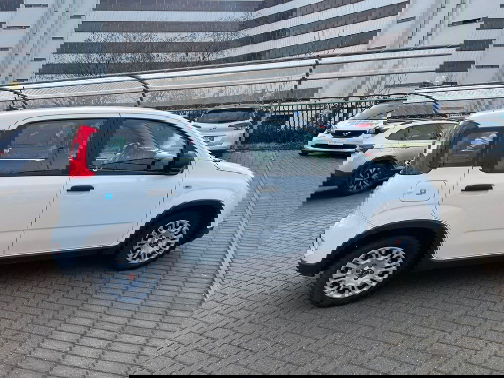 Fiat Panda usata a Milano (5)