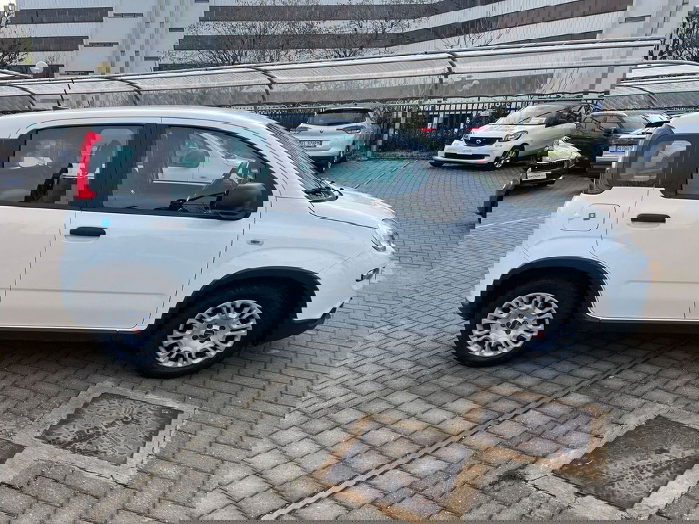 Fiat Panda usata a Milano (5)