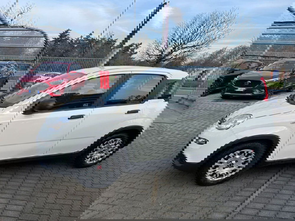 Fiat Panda usata a Milano (6)