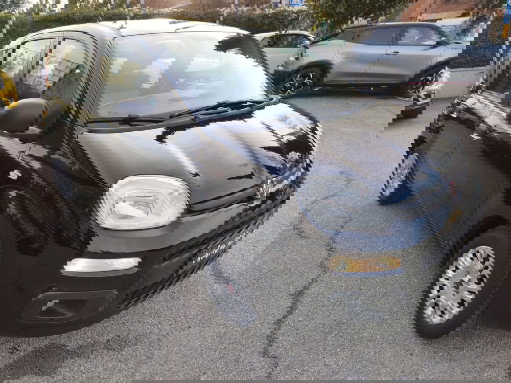 Fiat Panda usata a Reggio Emilia (3)