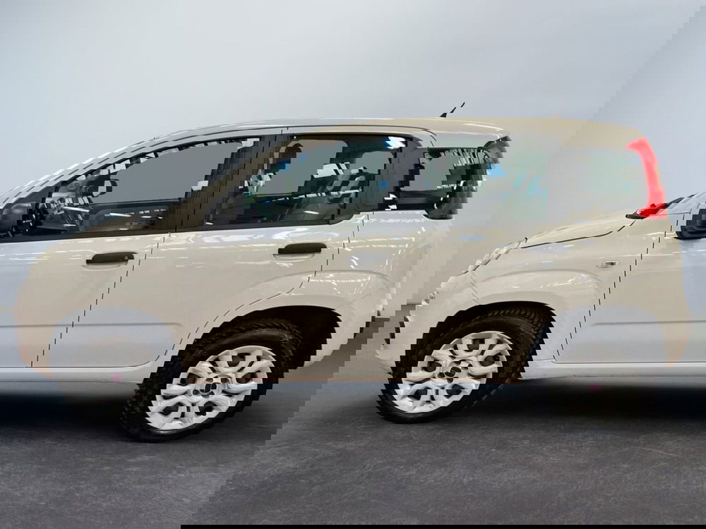 Fiat Panda usata a Bologna (2)