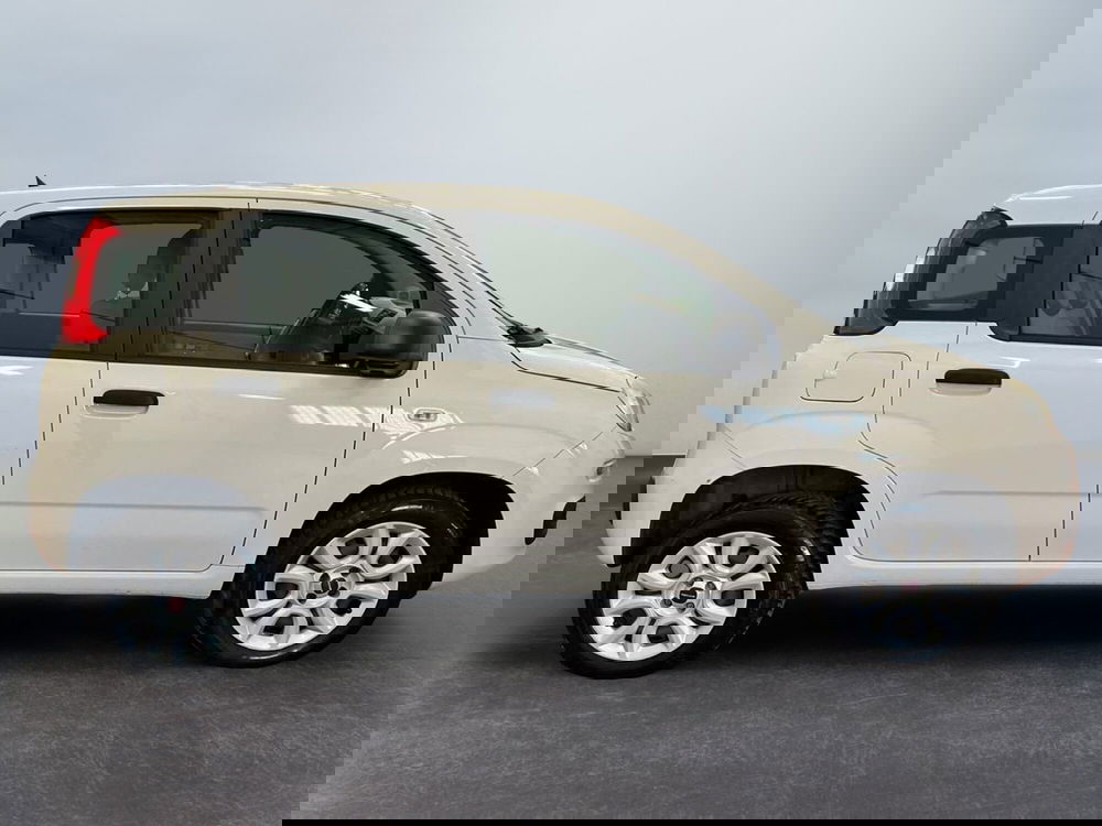 Fiat Panda usata a Bologna (4)