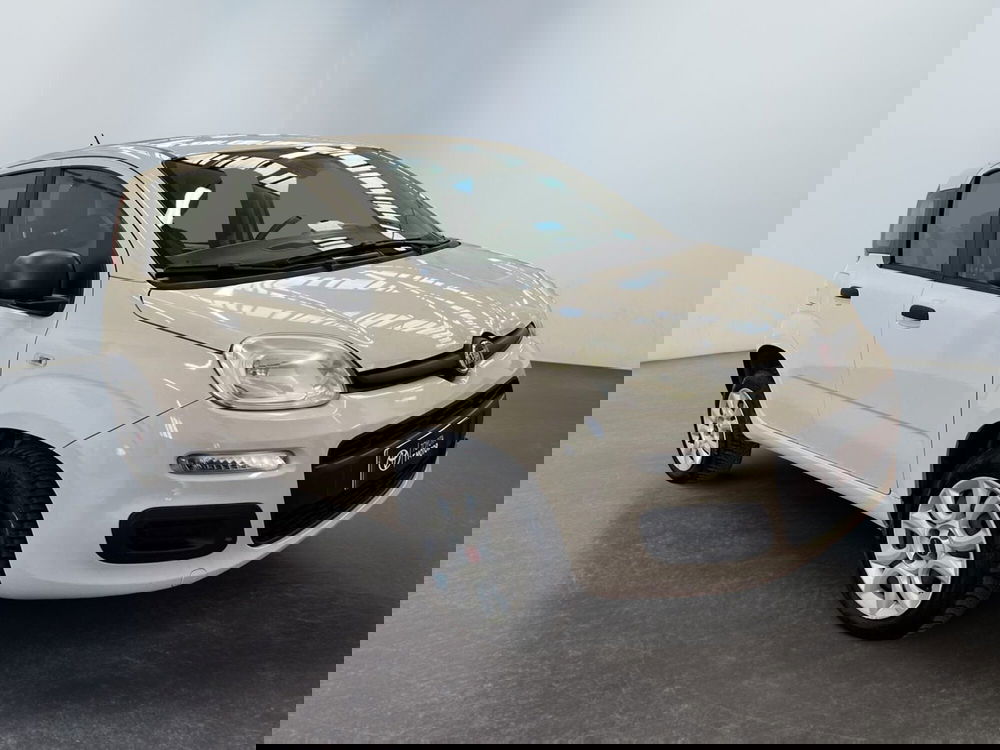 Fiat Panda usata a Bologna (5)