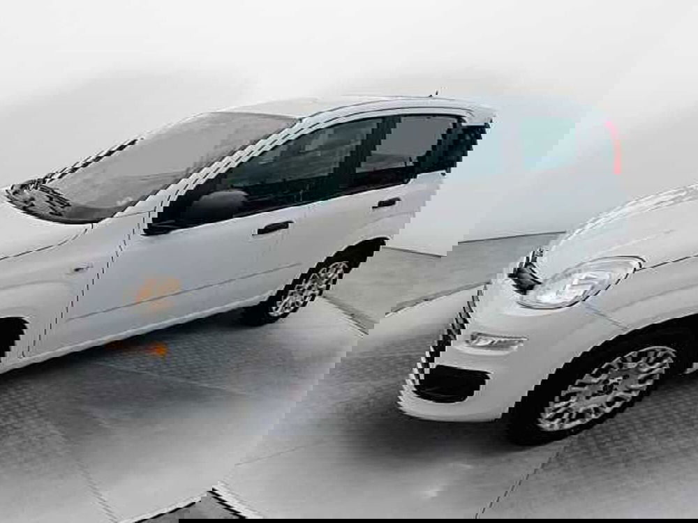 Fiat Panda usata a Siena