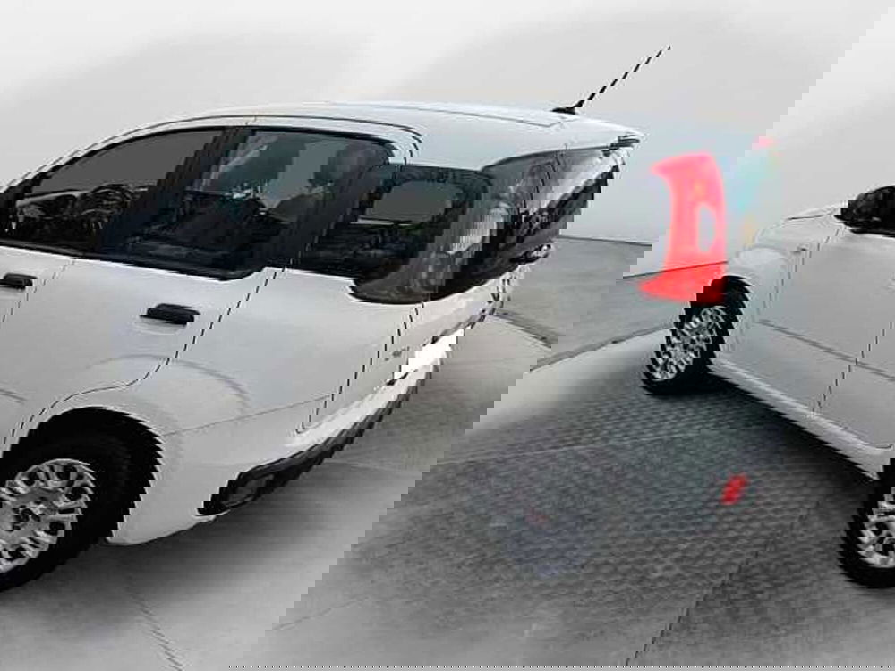 Fiat Panda usata a Siena (3)