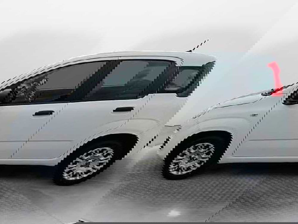 Fiat Panda usata a Siena (6)