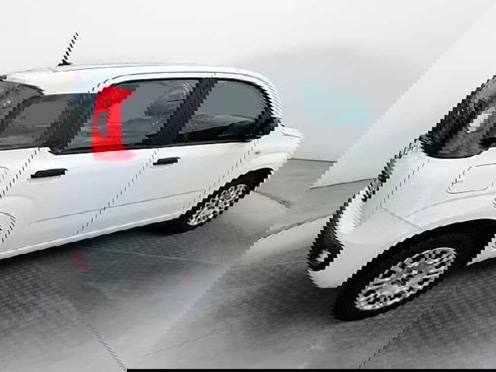 Fiat Panda usata a Siena (7)