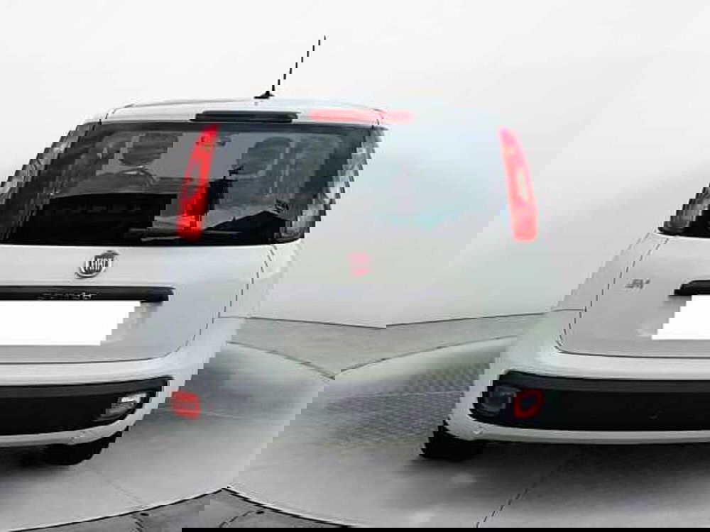 Fiat Panda usata a Siena (8)