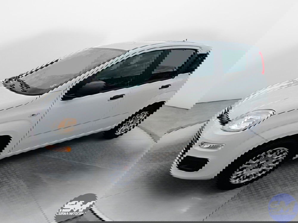 Fiat Panda usata a Siena