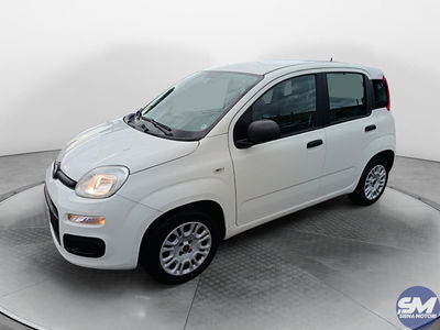Fiat Panda 1.2 Easy del 2020 usata a Siena