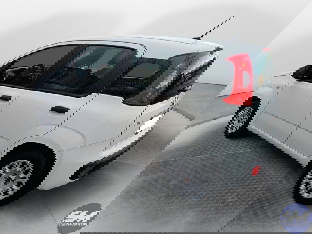 Fiat Panda usata a Siena (3)