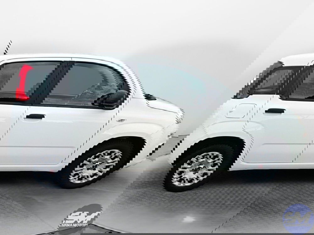 Fiat Panda usata a Siena (5)