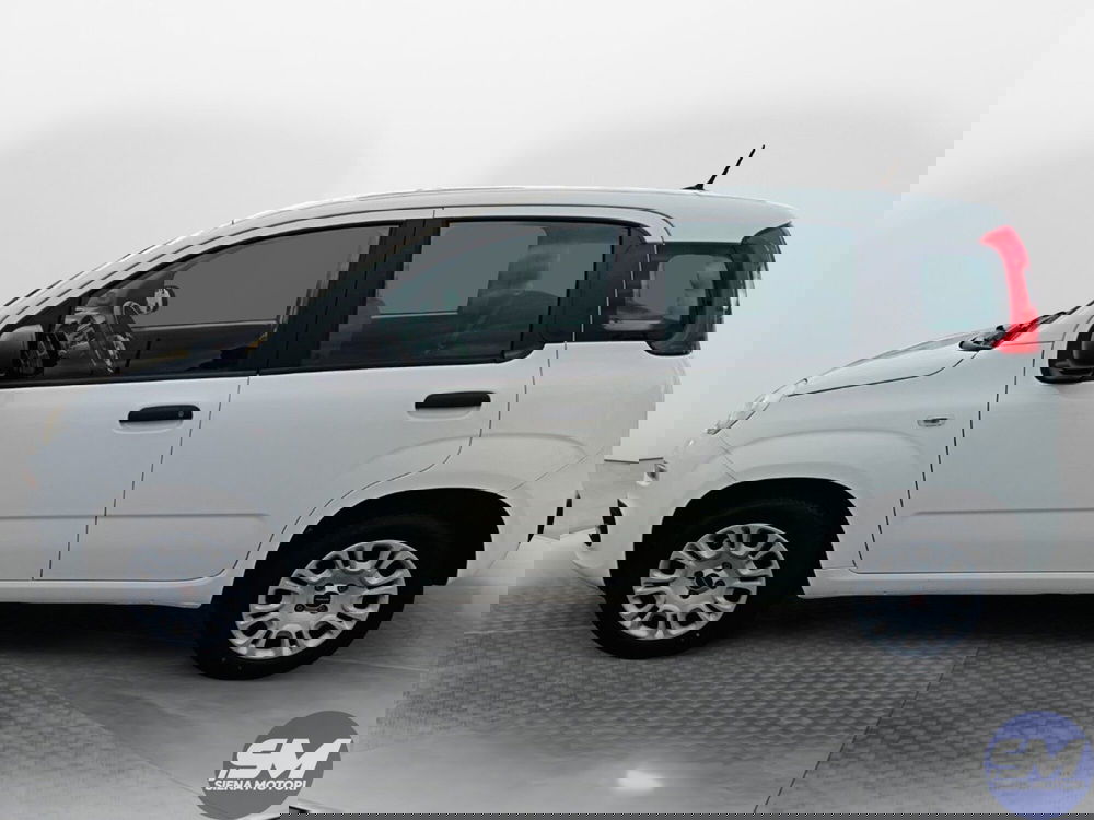 Fiat Panda usata a Siena (6)