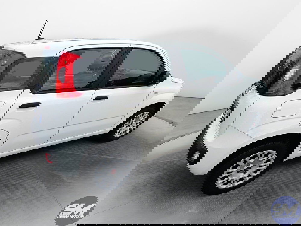 Fiat Panda usata a Siena (7)