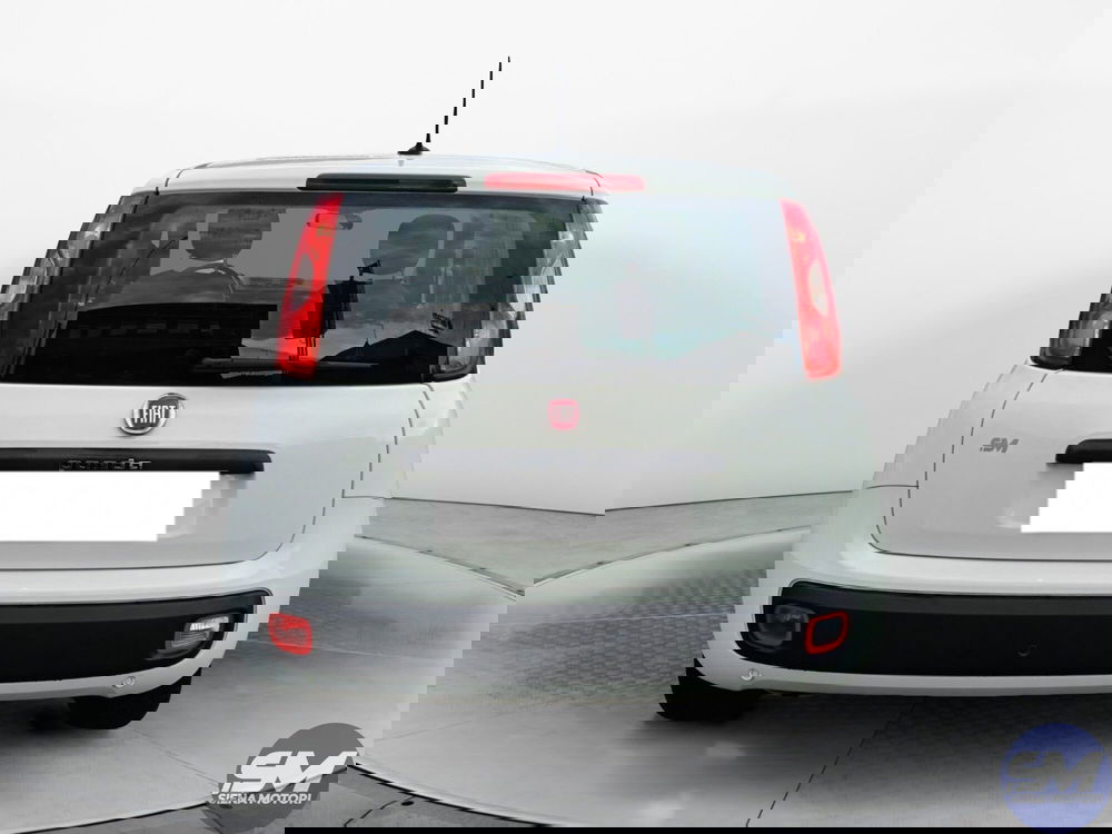 Fiat Panda usata a Siena (8)