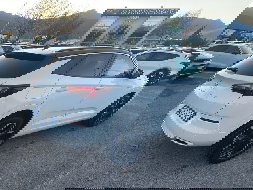 Opel Grandland usata a Frosinone (3)