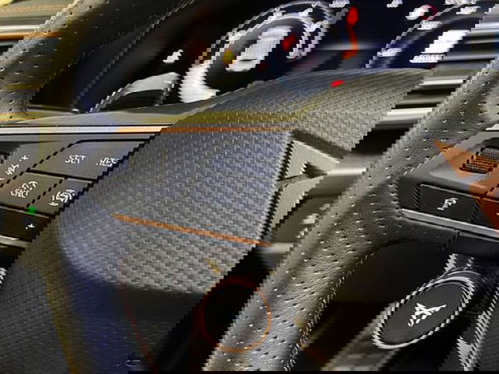 Cupra Formentor usata a Vicenza (12)