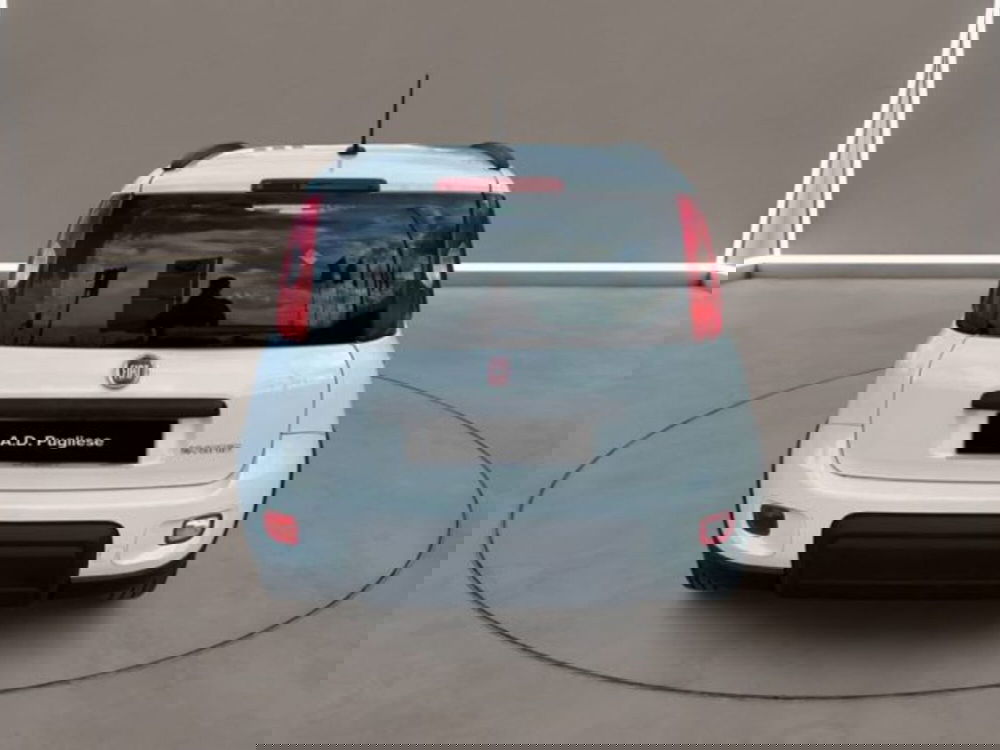 Fiat Panda usata a Caltanissetta (5)