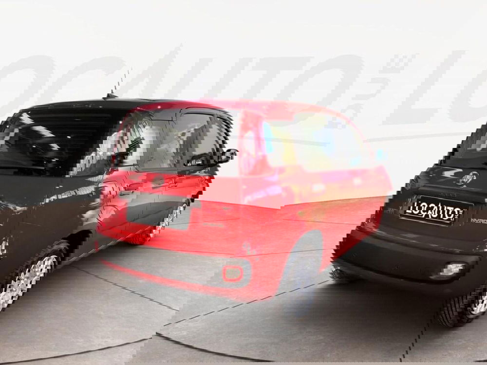 Fiat Pandina nuova a Torino (4)