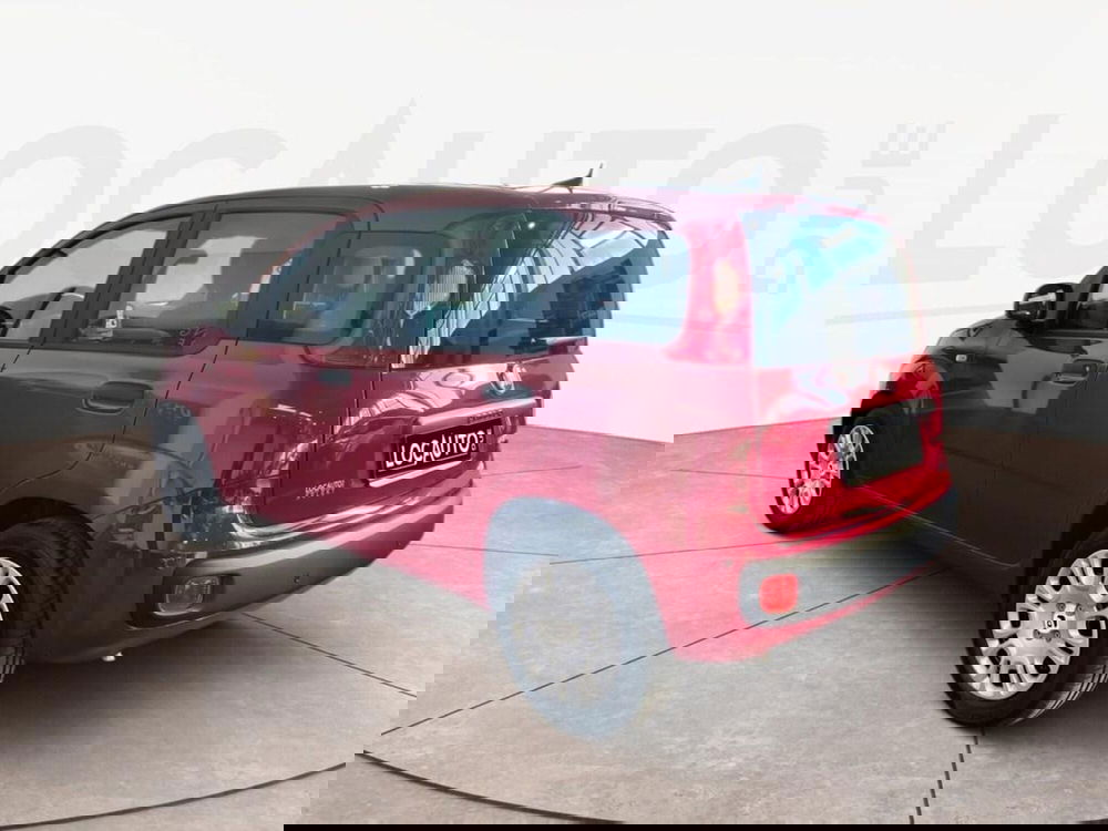 Fiat Pandina nuova a Torino (5)