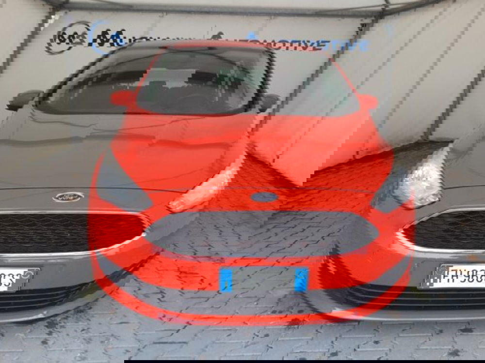 Ford C-Max usata a Firenze