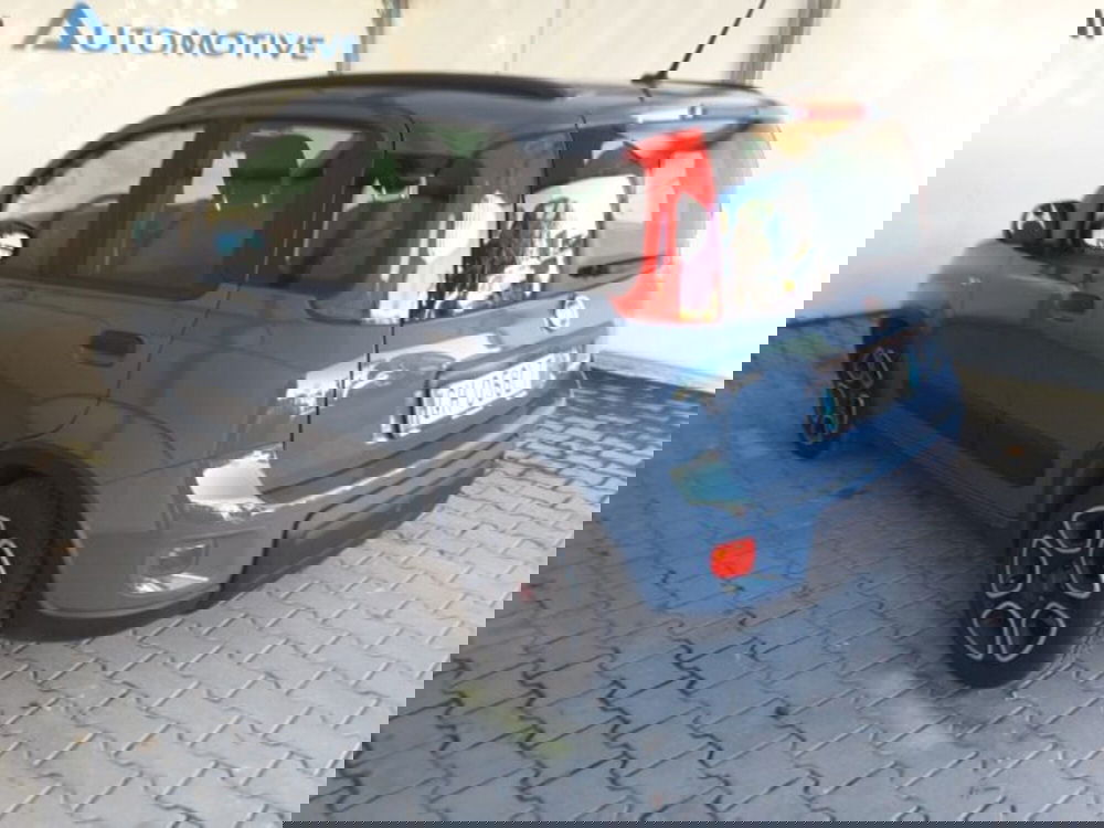 Fiat Panda usata a Firenze (10)