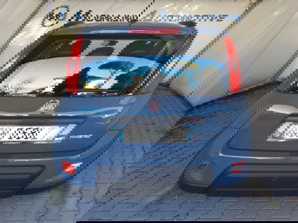 Fiat Panda usata a Firenze (11)