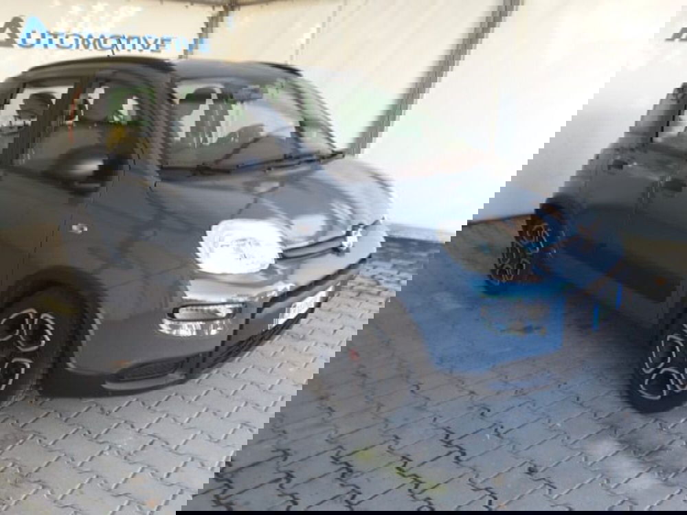 Fiat Panda usata a Firenze (2)