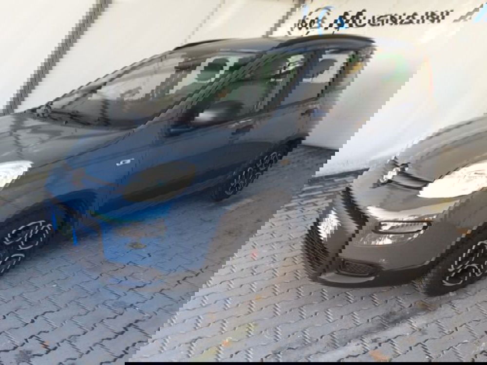 Fiat Panda usata a Firenze (3)