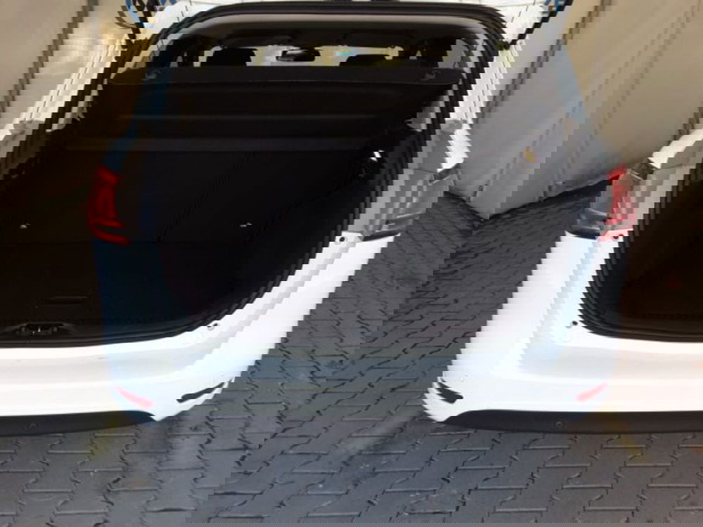 Ford B-Max usata a Firenze (13)