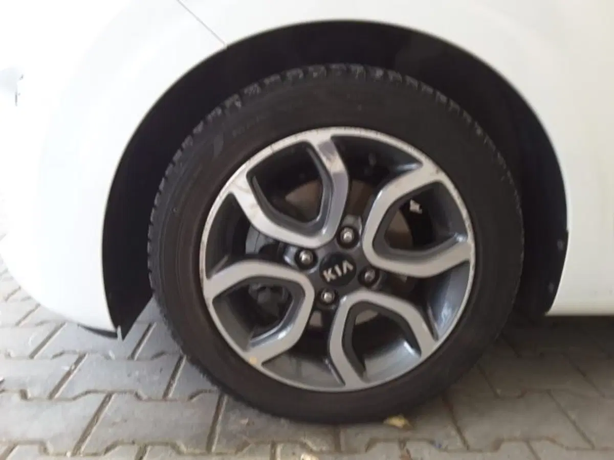 Kia Picanto usata a Firenze (4)