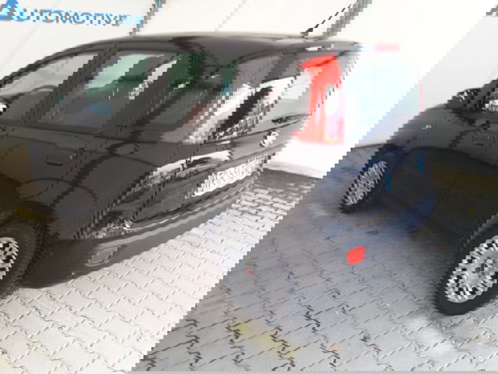 Fiat Panda usata a Firenze (11)