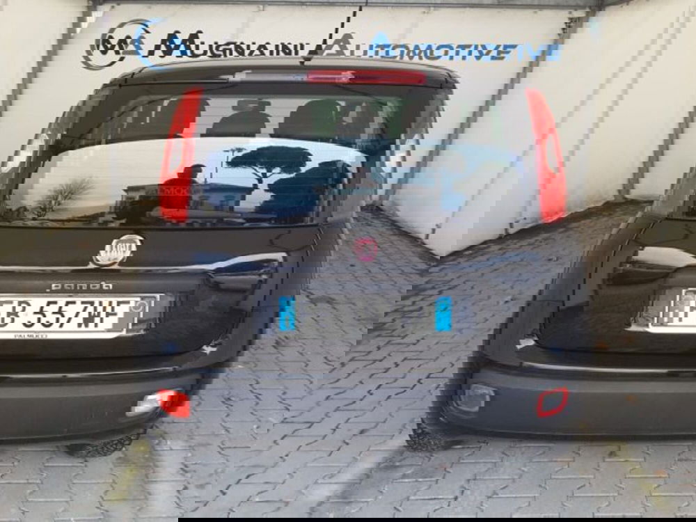 Fiat Panda usata a Firenze (12)