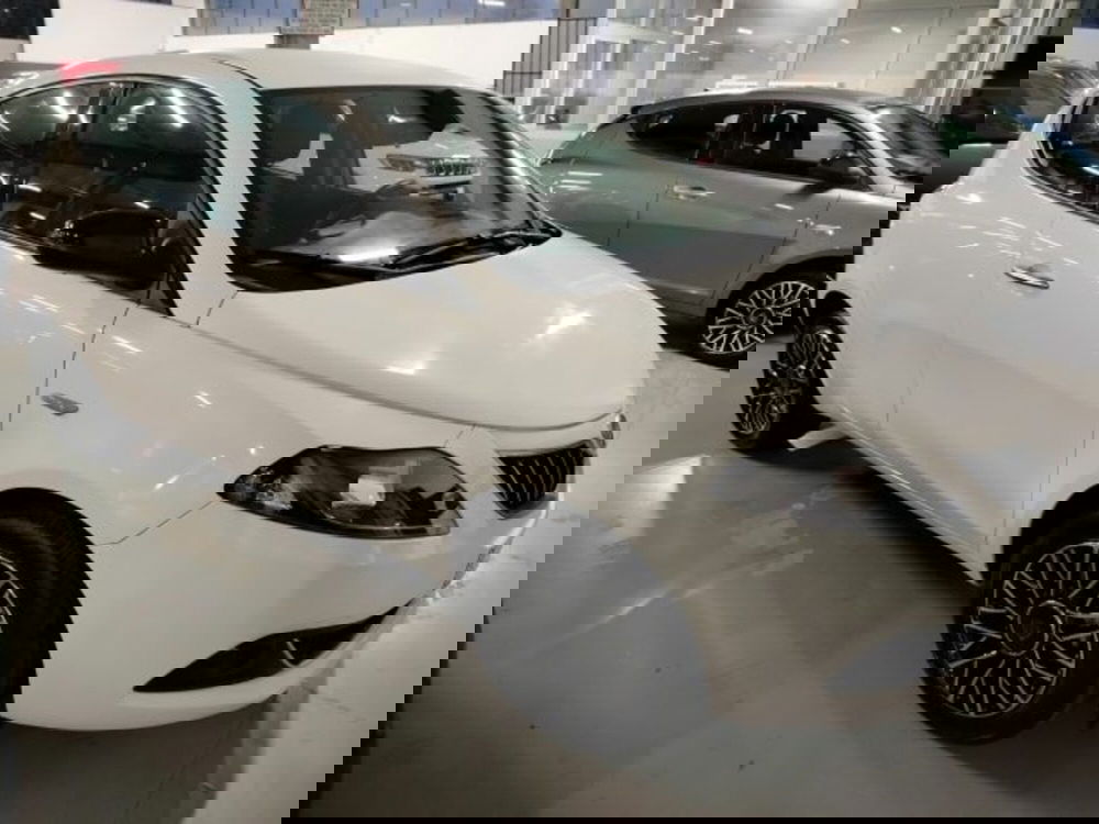 Lancia Ypsilon usata a Forlì-Cesena (5)