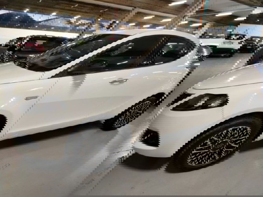 Lancia Ypsilon usata a Forlì-Cesena (7)