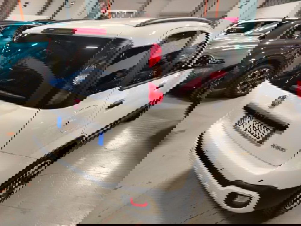 Fiat Panda usata a Forlì-Cesena (10)