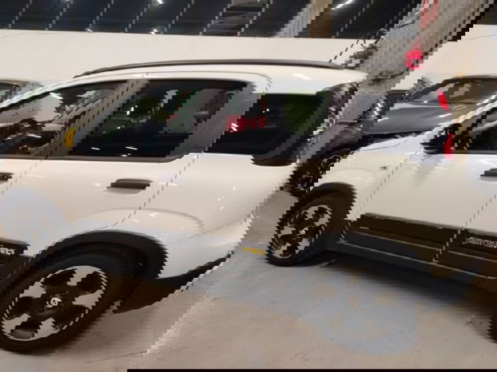 Fiat Panda usata a Forlì-Cesena (7)