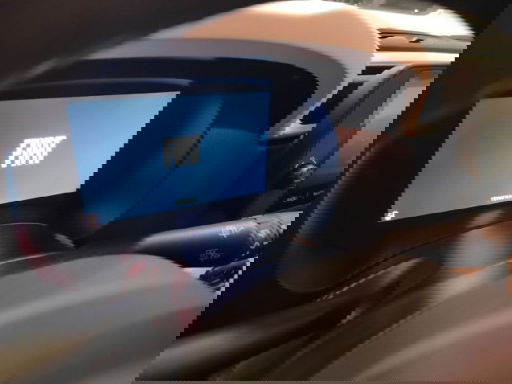 Fiat Panda usata a Forlì-Cesena (15)