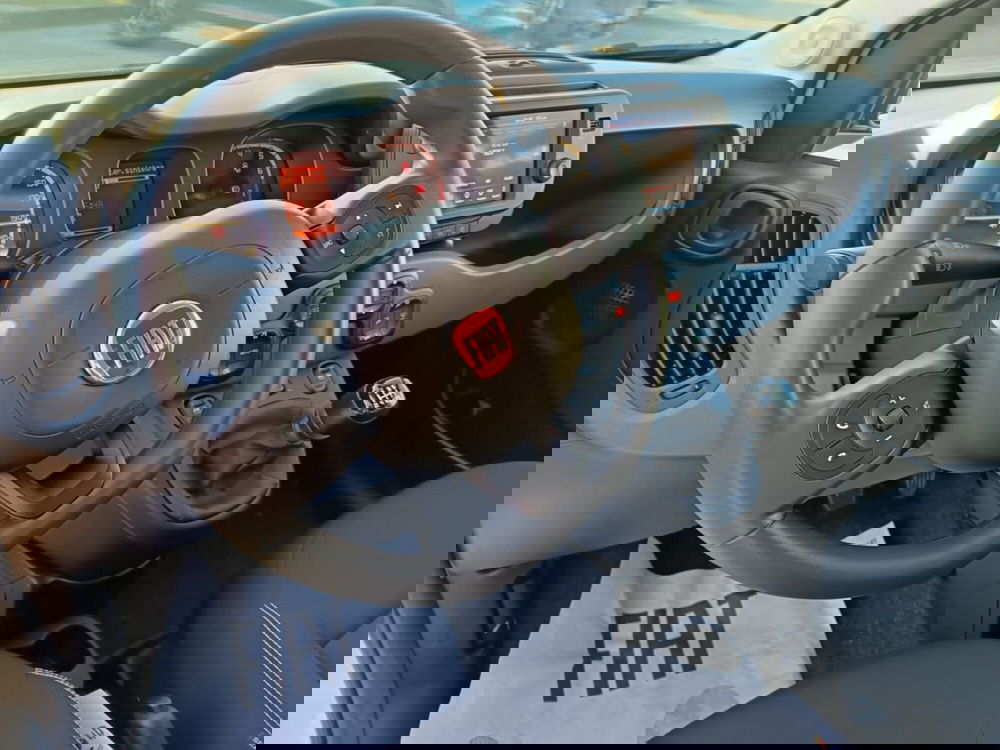 Fiat Panda Cross usata a Alessandria (13)