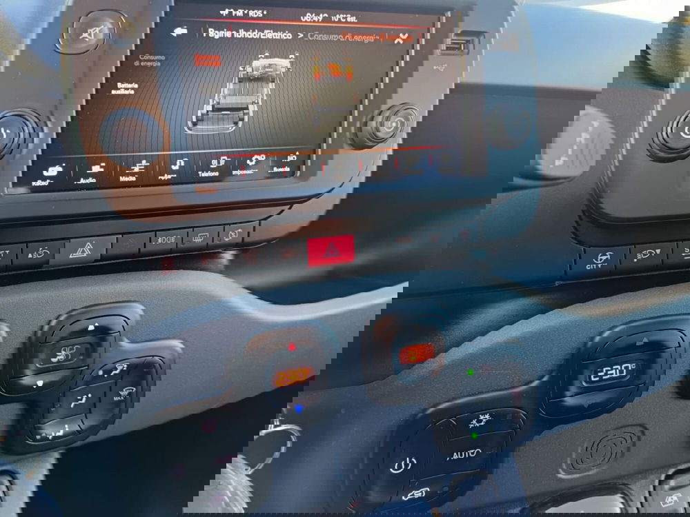 Fiat Panda Cross usata a Alessandria (14)