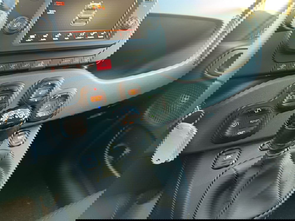 Fiat Panda Cross usata a Alessandria (15)