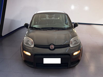 Fiat Panda 1.0 firefly hybrid s&amp;s 70cv 5p.ti del 2022 usata a Torino