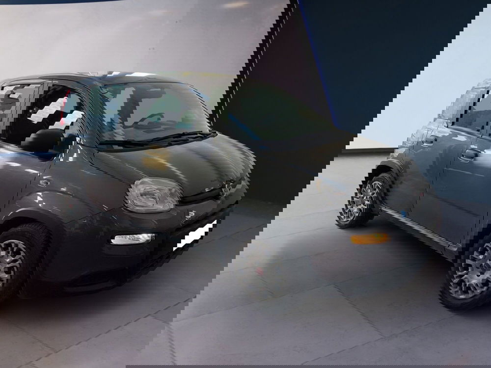 Fiat Panda usata a Torino (3)