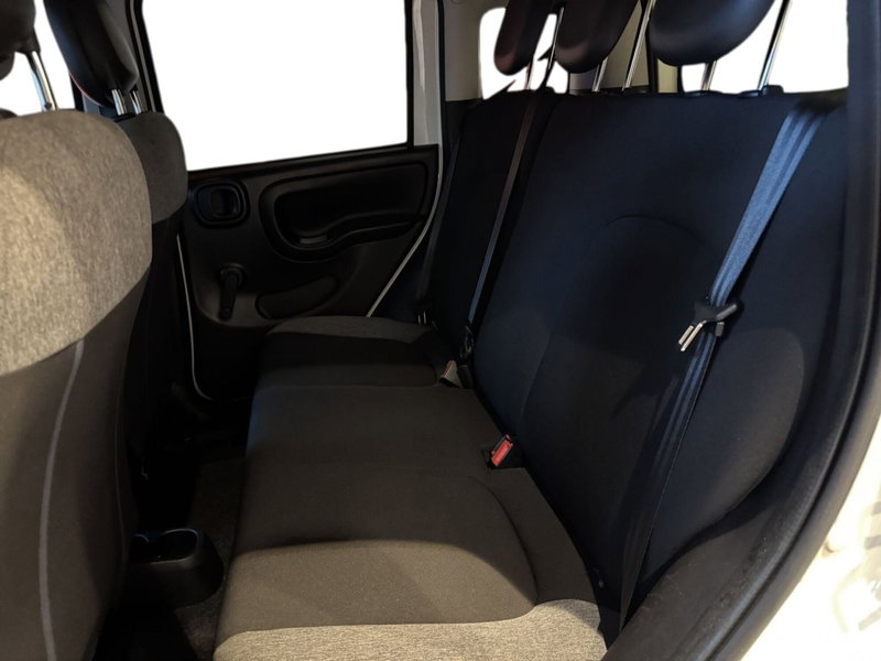 Fiat Panda usata a Pistoia (15)
