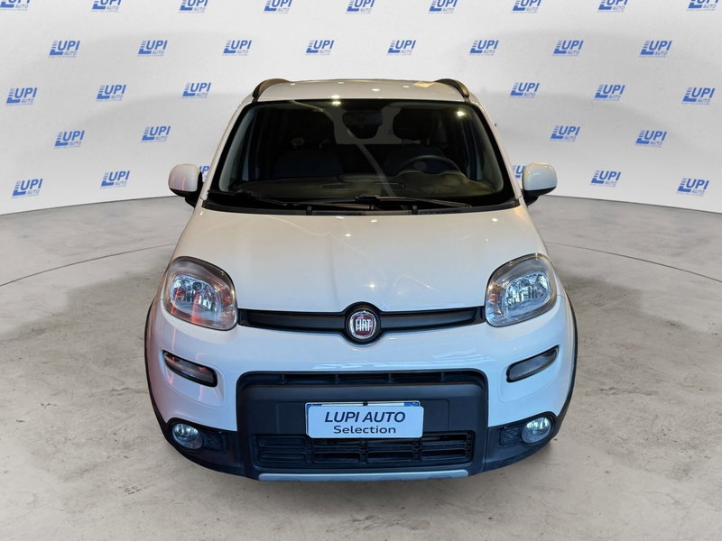 Fiat Panda usata a Pistoia (2)