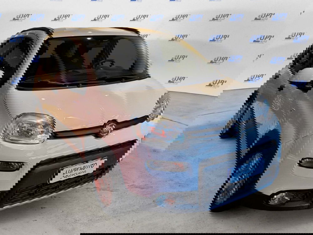 Fiat Panda usata a Pistoia (3)